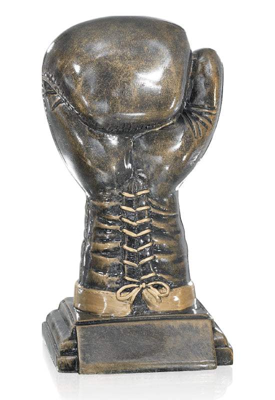 Boxhandschuh Trophäe Rjasan