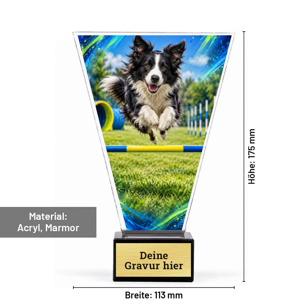 Signature Glaspokal Agility mit Border Collie