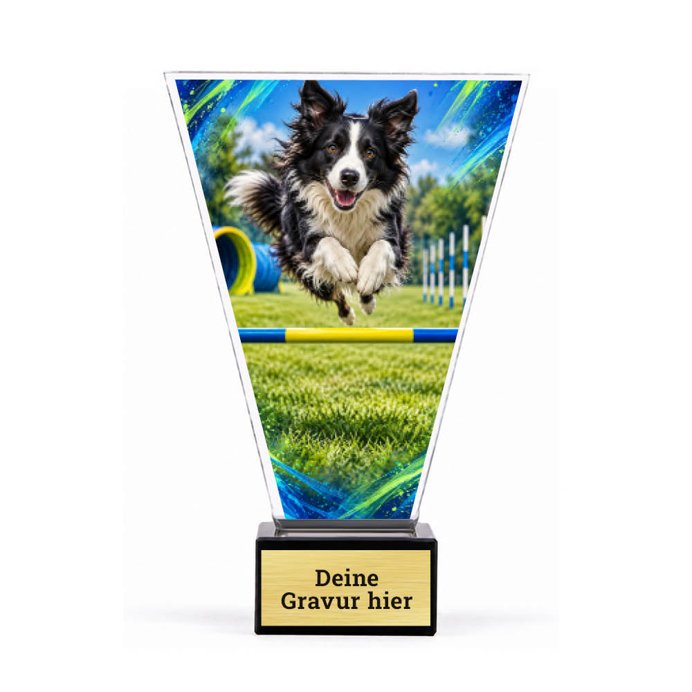 Signature Pokal Agility mit Border Collie auf Sockel – Produktansicht