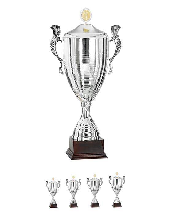 Pokal Charkiw