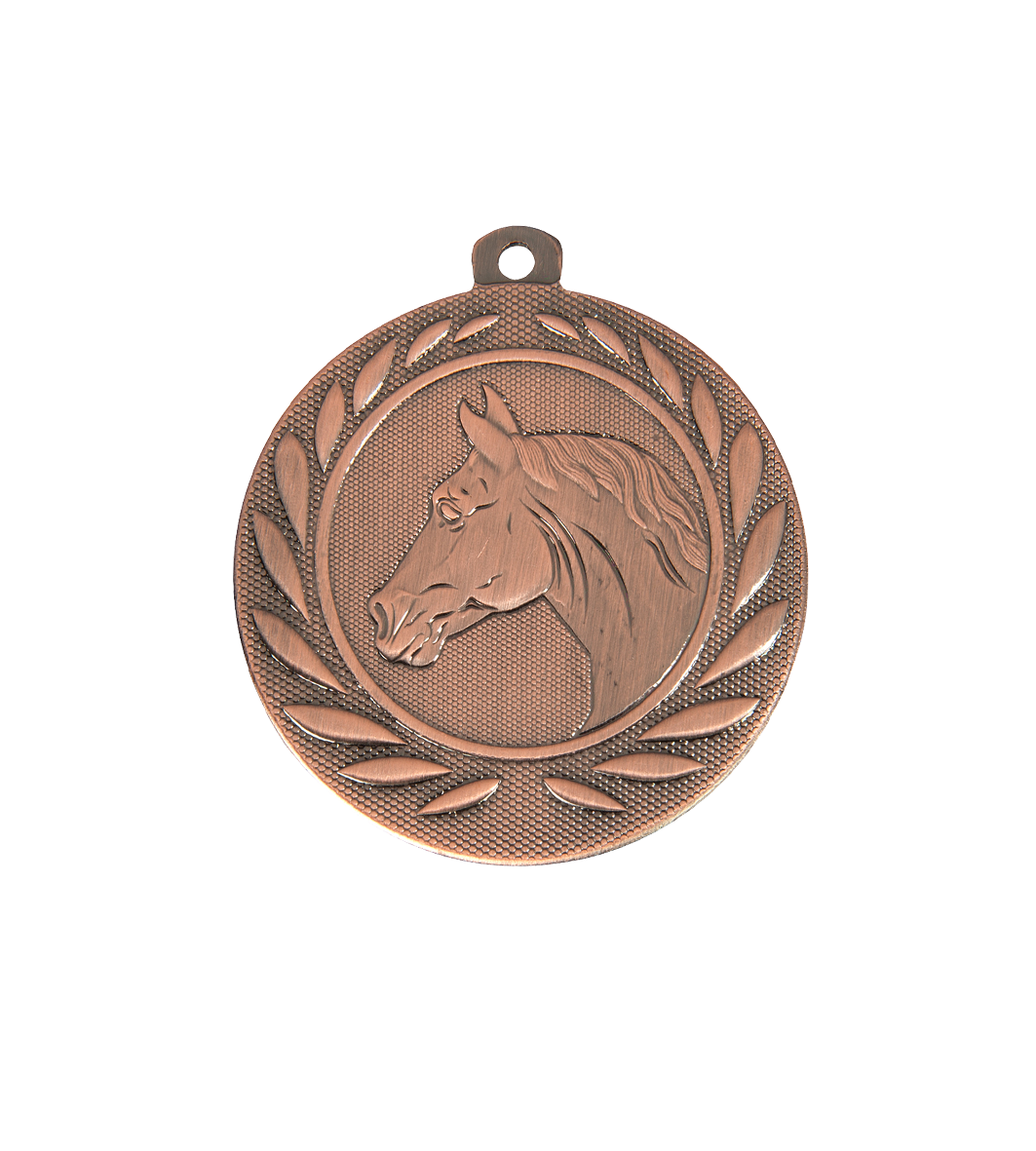 Reitsport Medaille Aachen