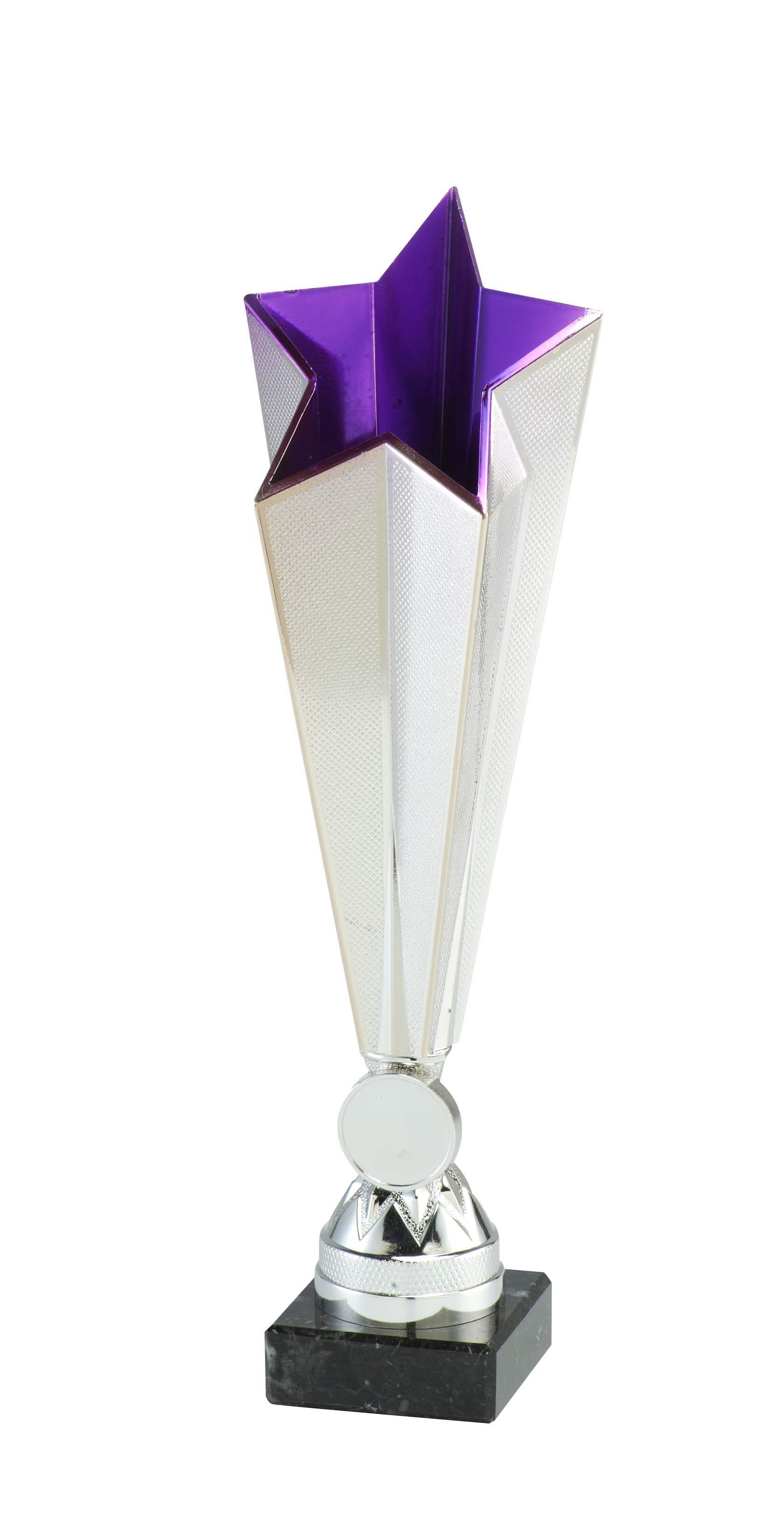 Pokal Aspach