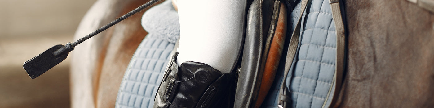 Reitsport