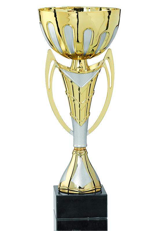 Pokalserie Gold Silber