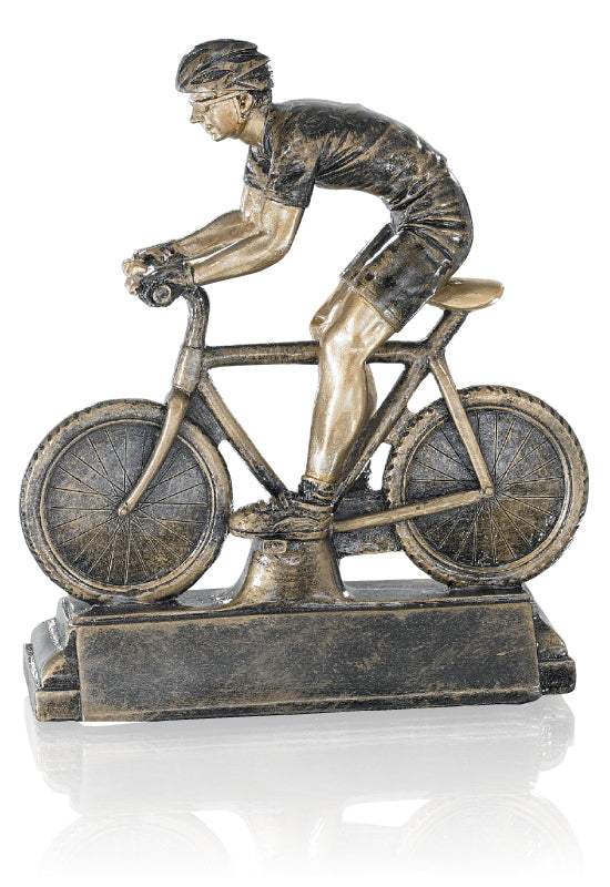 Mountainbike Trophäe Oder
