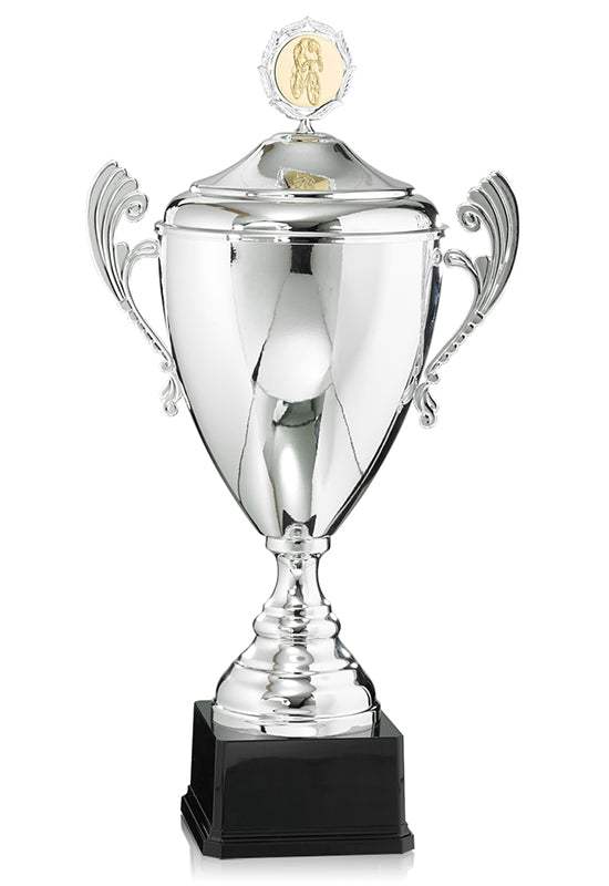 Pokal Bukarest