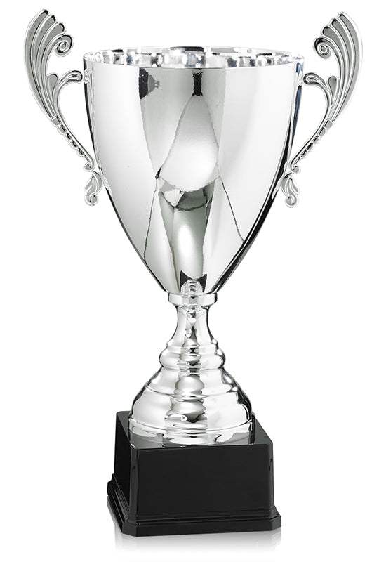 Pokal Bukarest