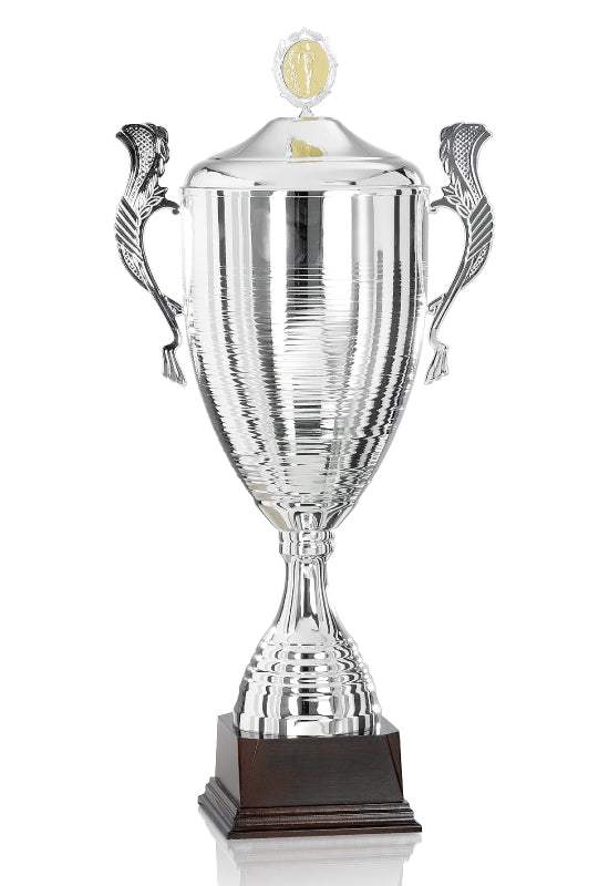 Pokal Charkiw