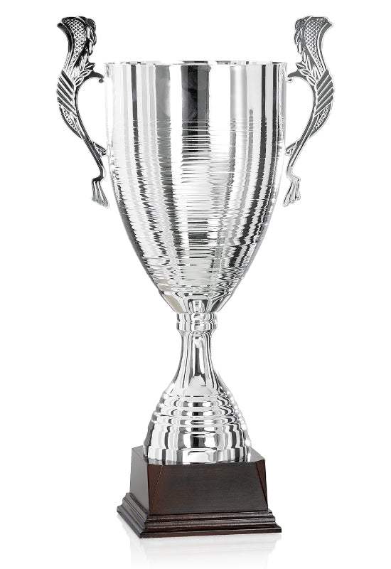 Pokal Charkiw