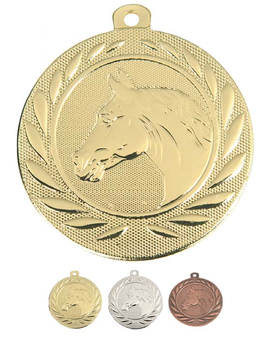 Reitsport Medaille Aachen