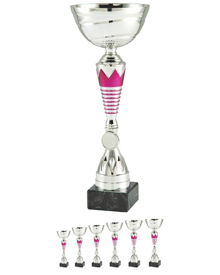 Pokal Hochdorf
