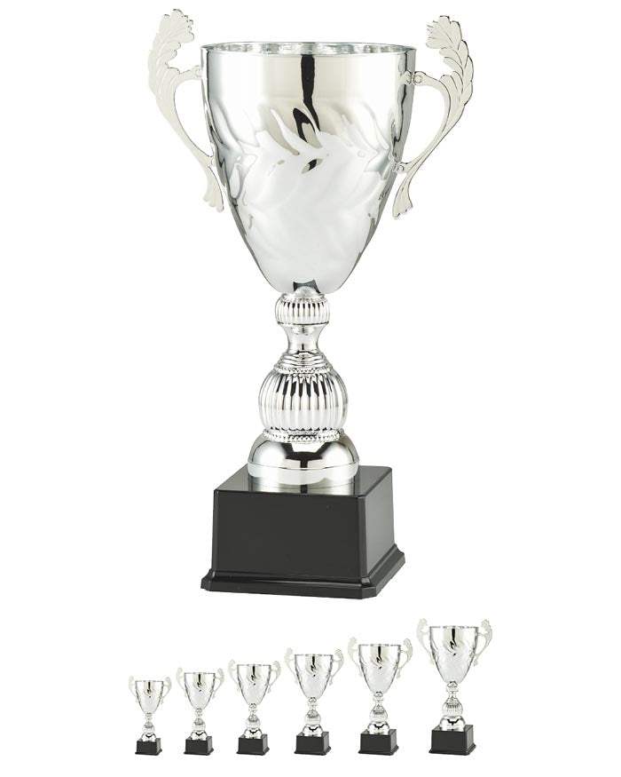 Pokal Juliusburg