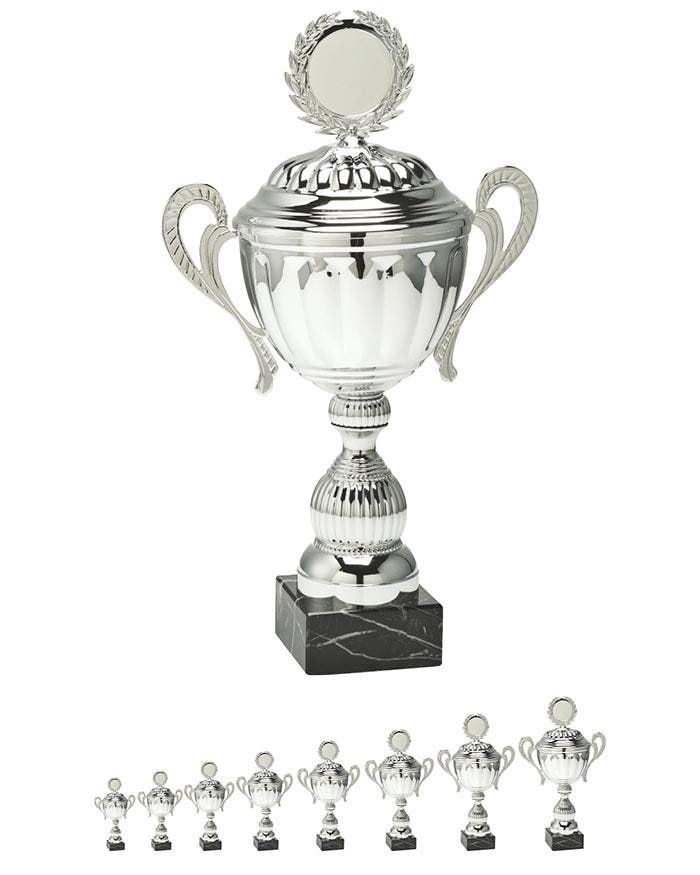 Pokal Fichtenberg