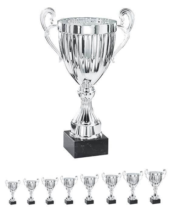 Pokal Moskau