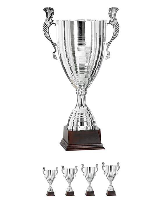 Pokal Charkiw
