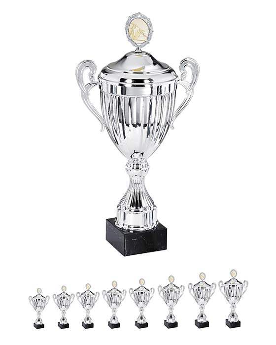 Pokal Moskau