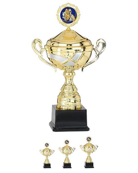 Pokalserie Gold Silber