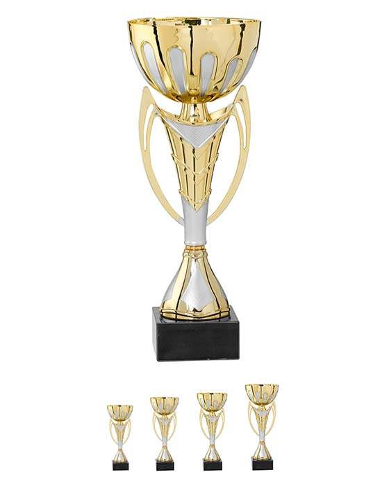 Pokalserie Gold Silber