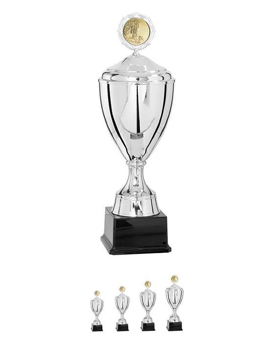 Pokal Krasnodar Silber