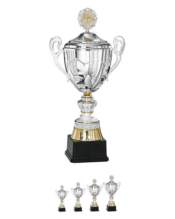 Pokal Wien
