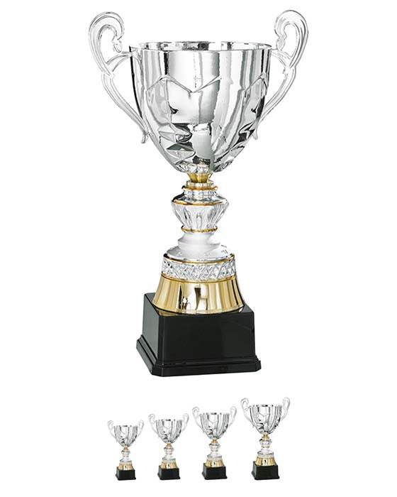 Pokal Wien