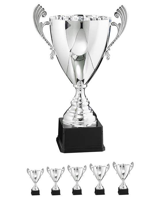Pokal Bukarest