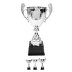 Pokal Petersberg