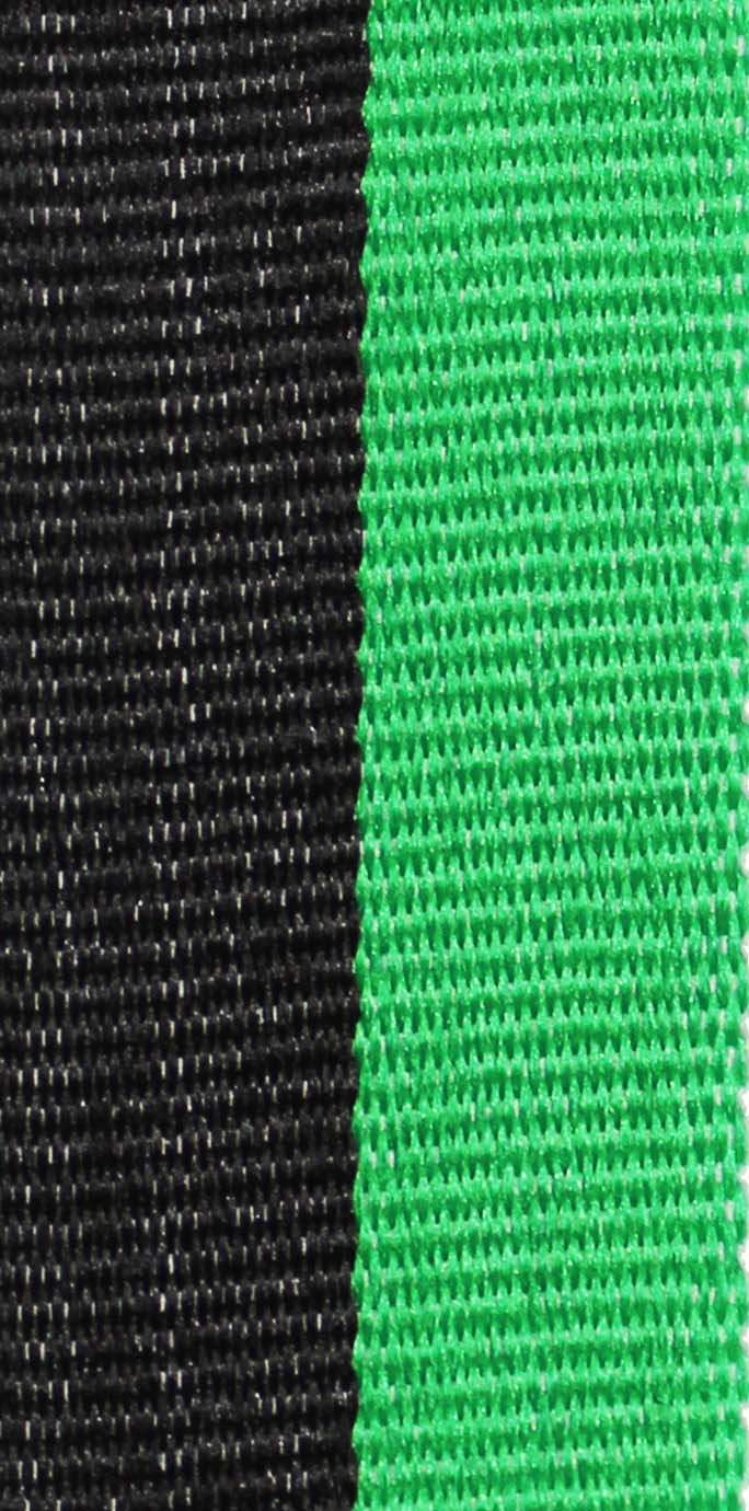 Halsband Schwarz, Grün