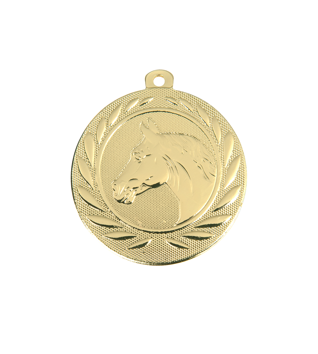 Reitsport Medaille Aachen