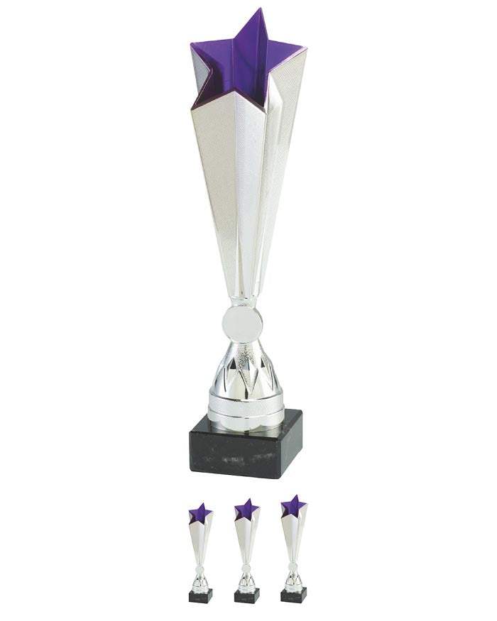 Pokal Aspach
