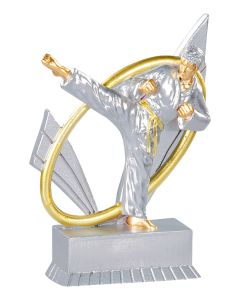 Karate 3D Pokal