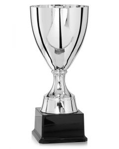 Pokal Krasnodar Silber