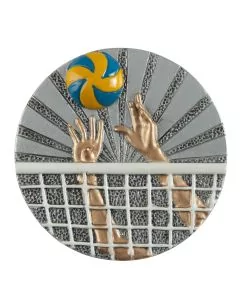Zierscheibe Volleyball