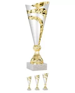 Pokal Silber Gold Niederrhein