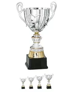 Pokal Wien