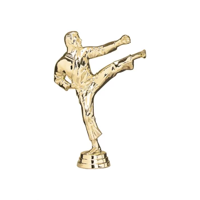 Karate Pokal-Figur Turin | H:160
