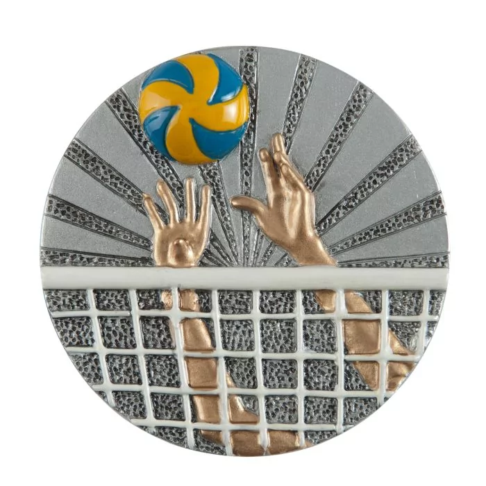 Zierscheibe Volleyball